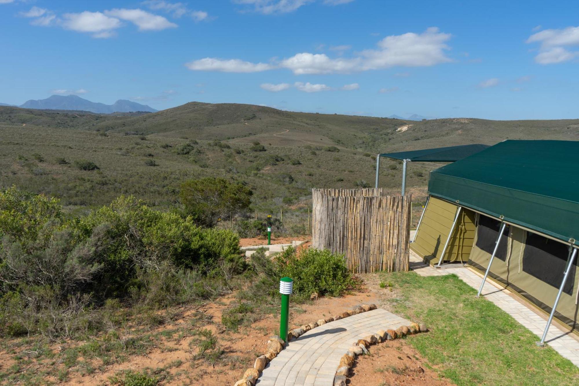 Hartenbos Private Game Lodge Esterno foto