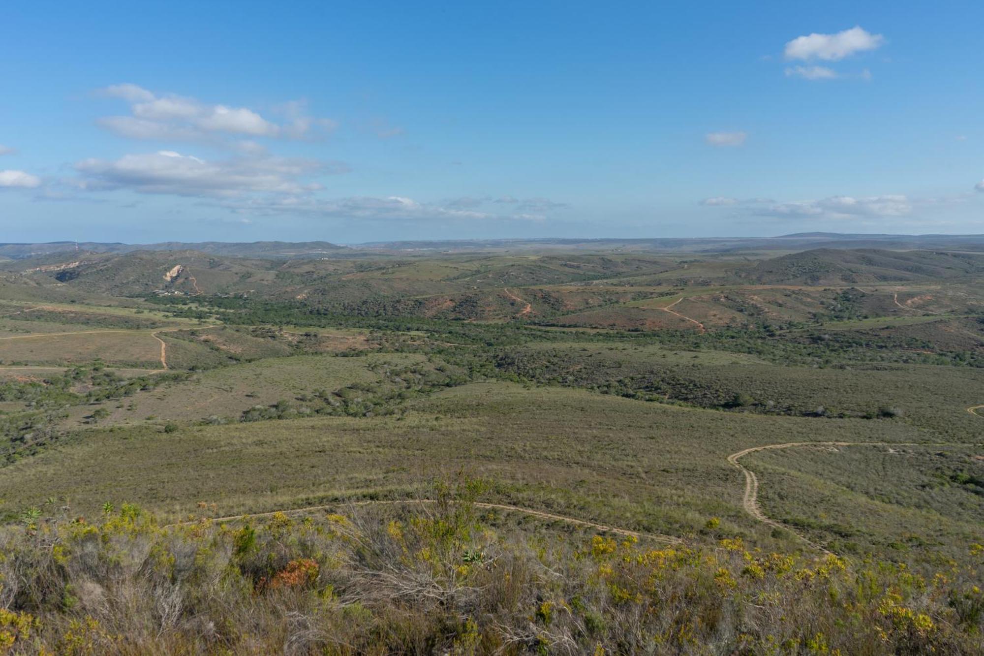 Hartenbos Private Game Lodge Esterno foto