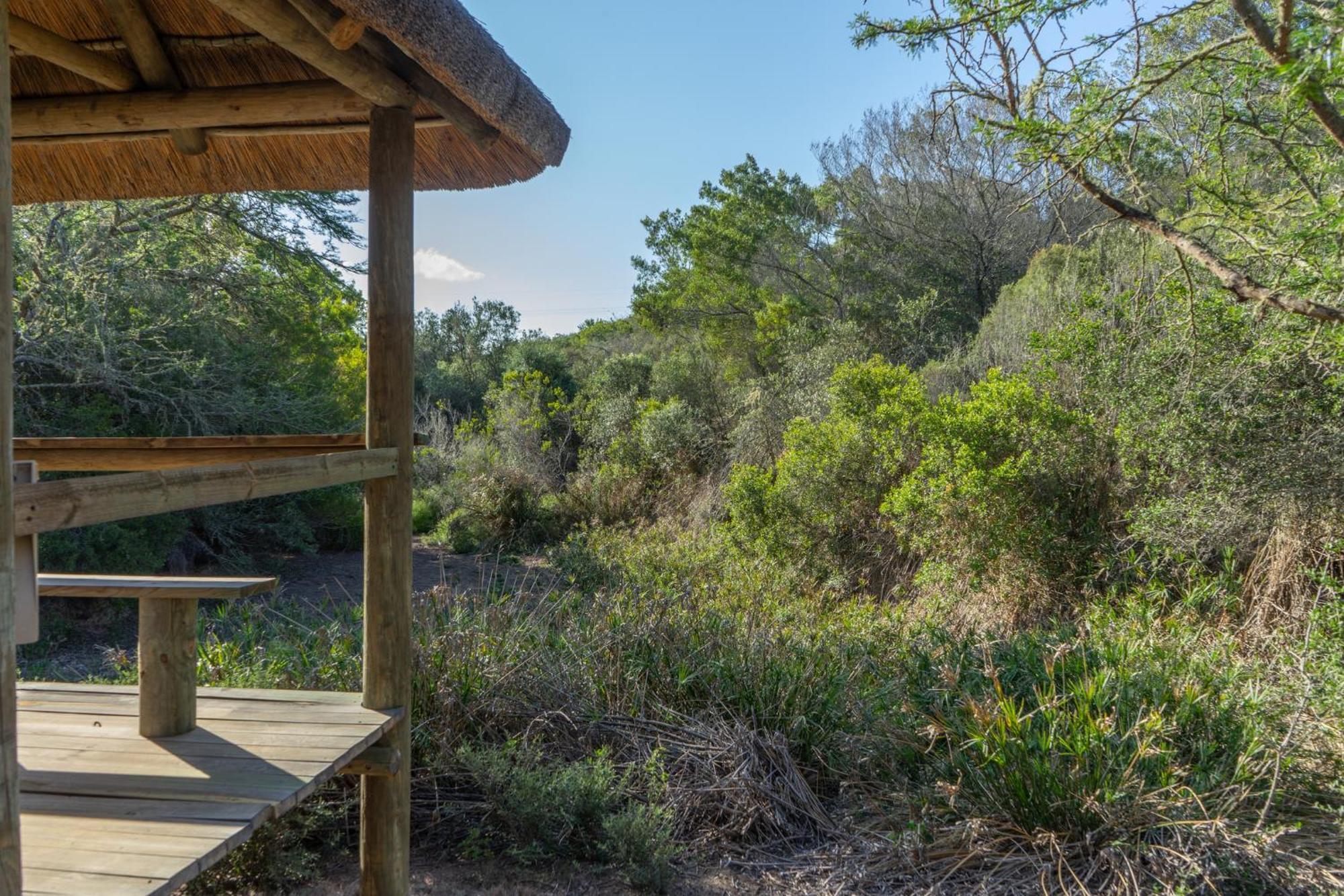 Hartenbos Private Game Lodge Esterno foto