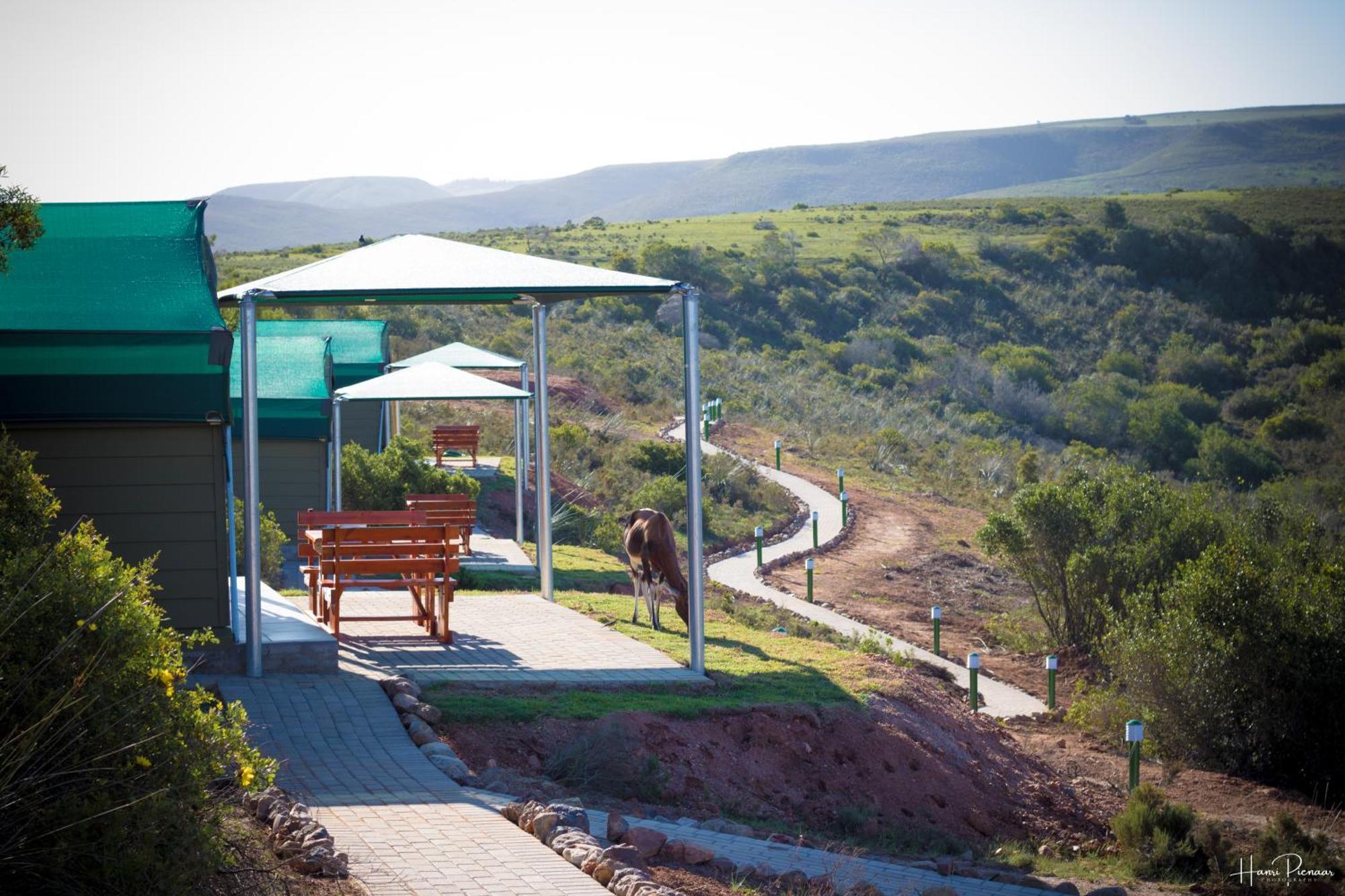 Hartenbos Private Game Lodge Esterno foto